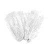 Paris Prix Lot De 35 Plumes Décoratives Sensa 16cm Blanc 10