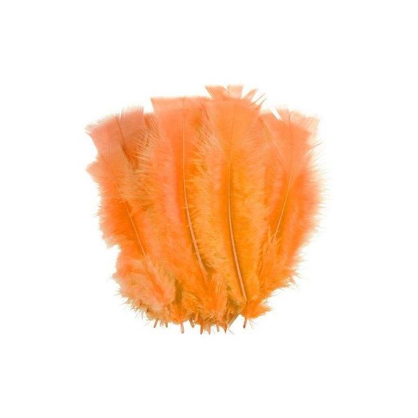 Paris Prix Lot De 35 Plumes Décoratives Sensa 16cm Orange 1