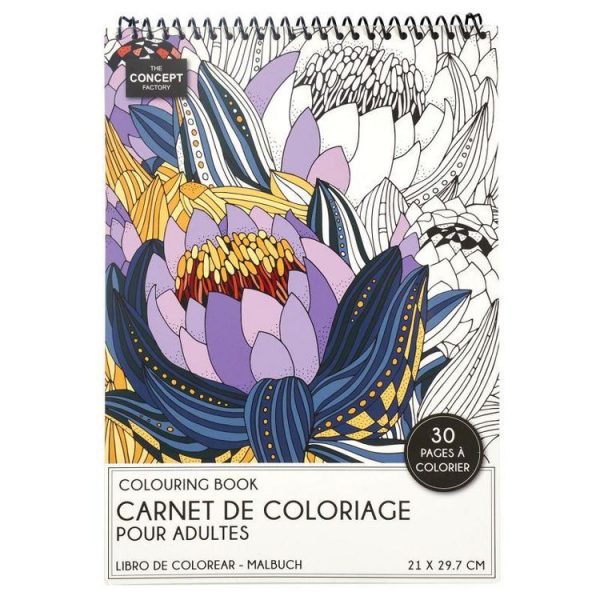 Paris Prix Livre De Coloriage 30 Pages Adulte 21x29cm Blanc 1