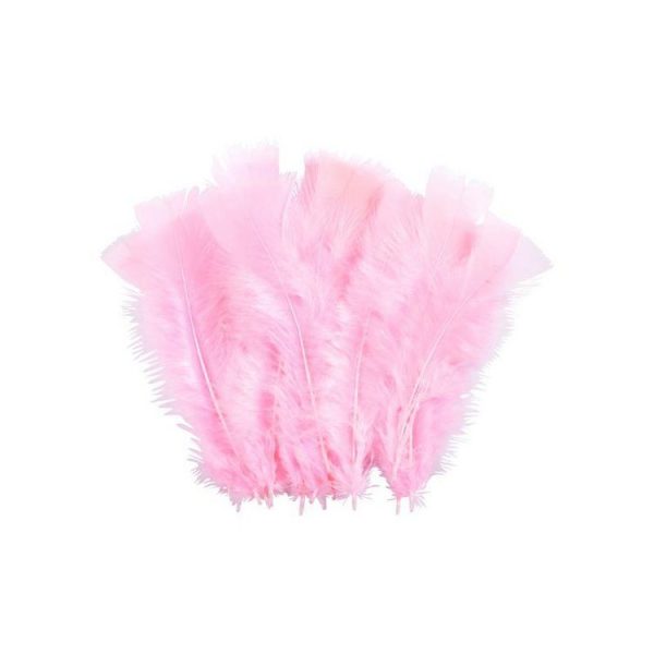 Paris Prix Lot De 35 Plumes Décoratives Sensa 16cm Rose Pâle 1